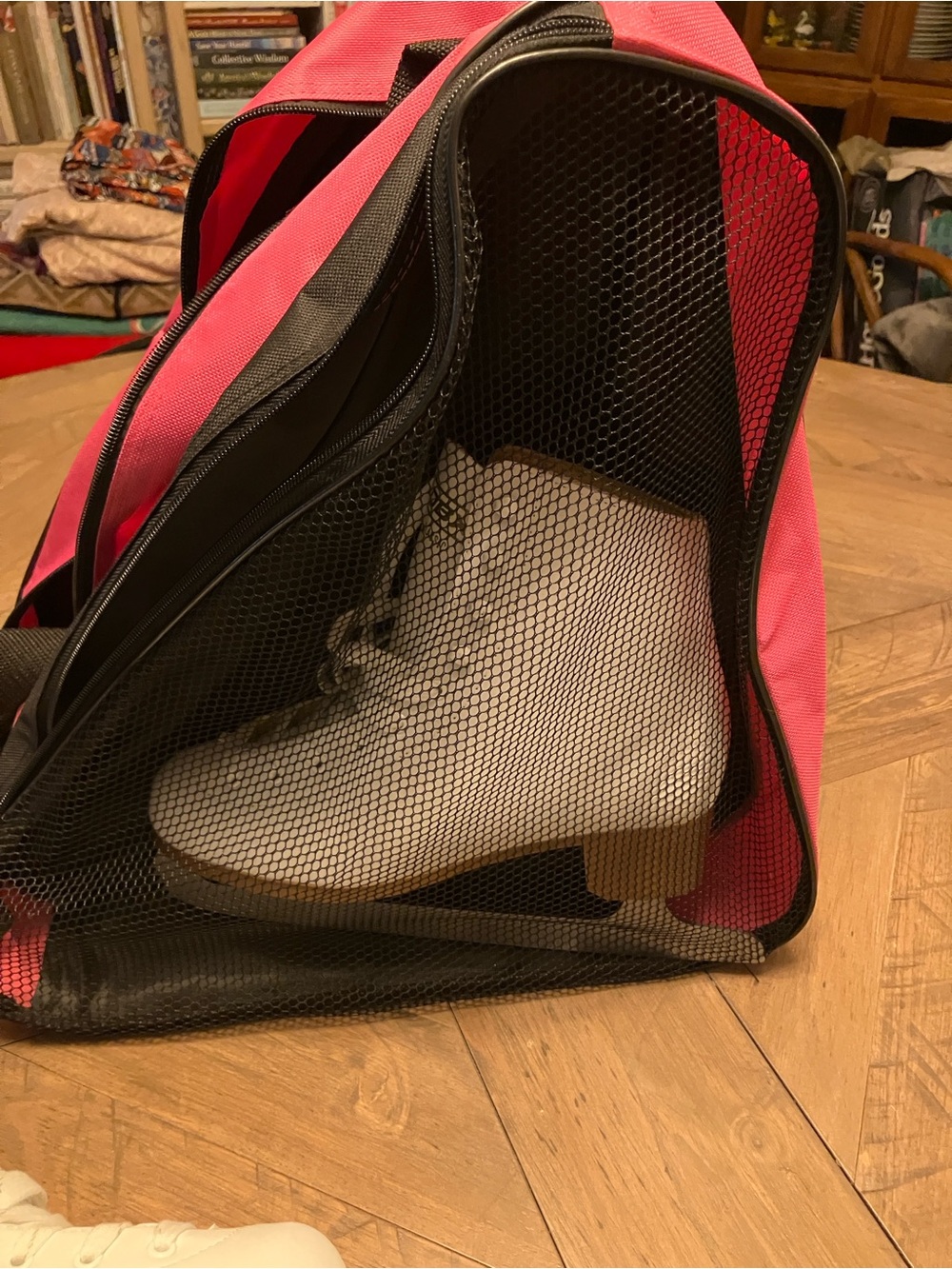 New Ice Skates and carrying Bag